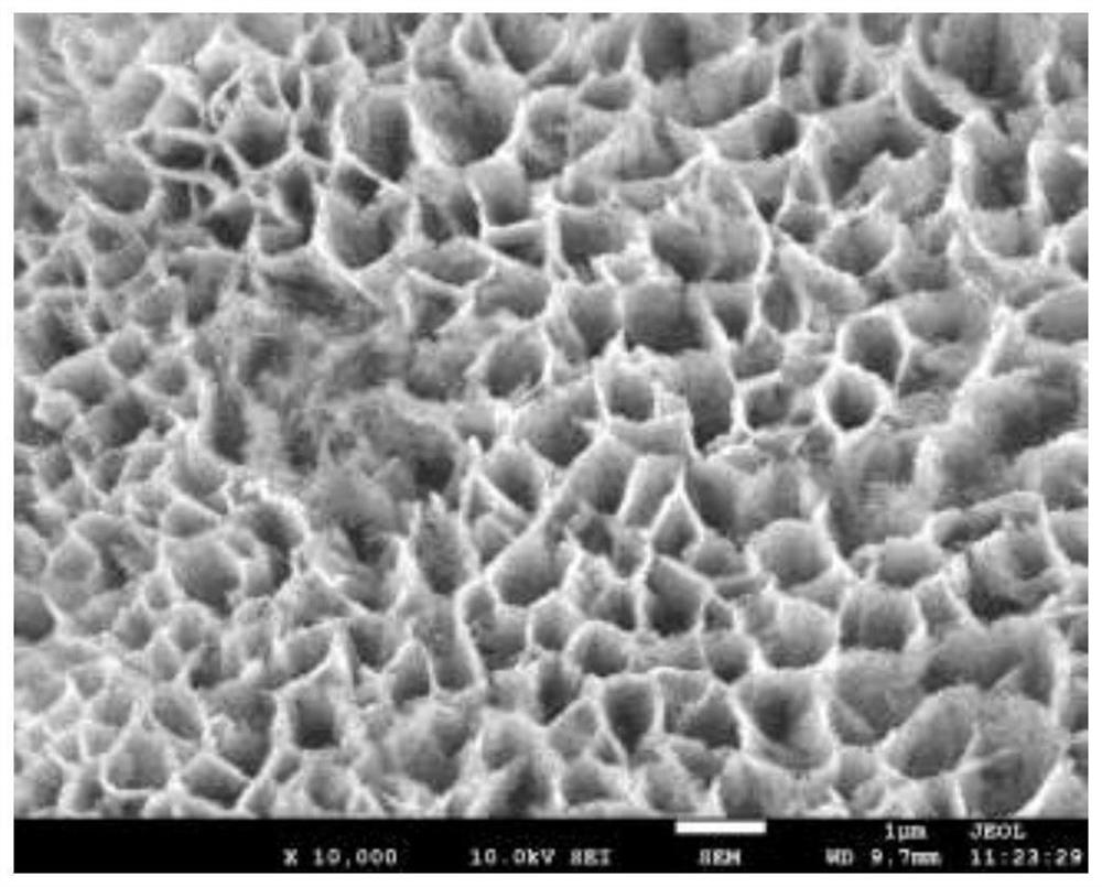 Preparation method of super-hydrophobic foam iron surface and application of super-hydrophobic foam iron in oily wastewater treatment