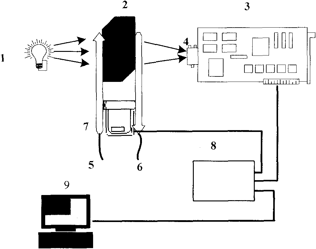 Amylose detector and method for detecting amylose