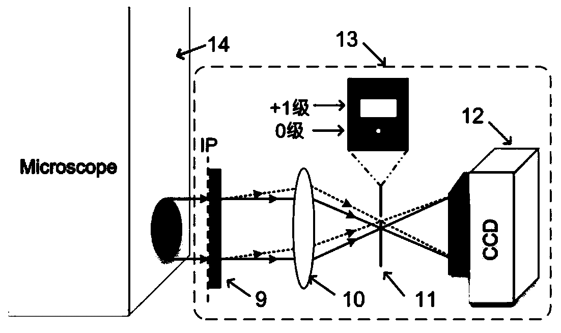 External common-optical-path off-axis digital holographic microimaging device