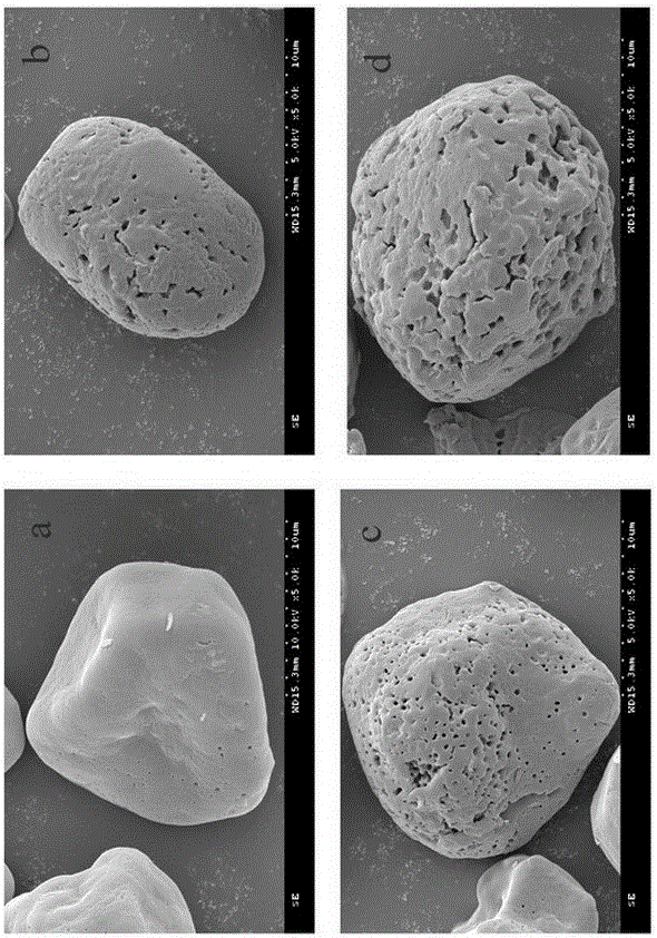 Method for producing corn porous starch by using low temperature freeze-thawing technology