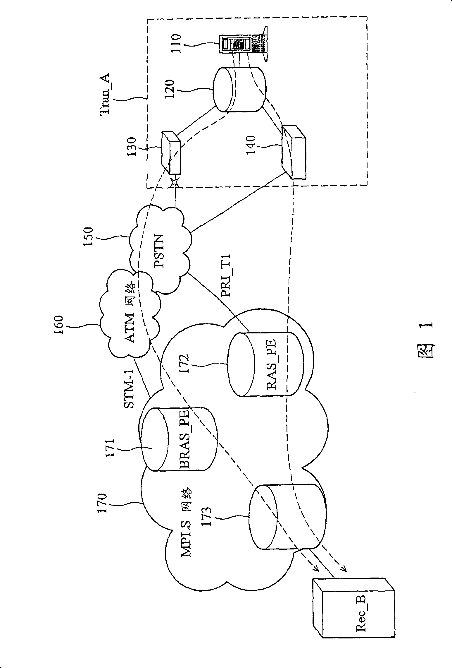Redundant network system and its processing method