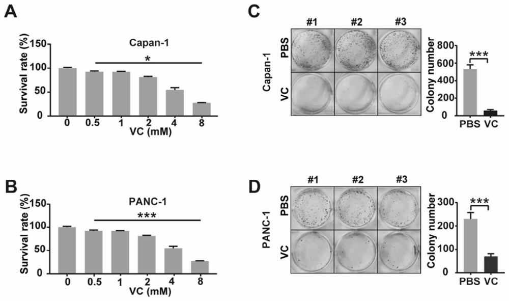 Application of phosphatase PHLPP2 in preparation of prognostic marker preparation for treating pancreatic cancer by vitamin C