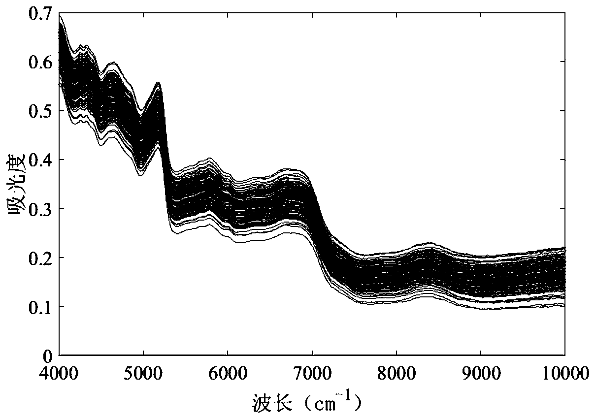 Spectrum baseline correction method, system and detection method in near infrared spectrum analysis of tea leaves