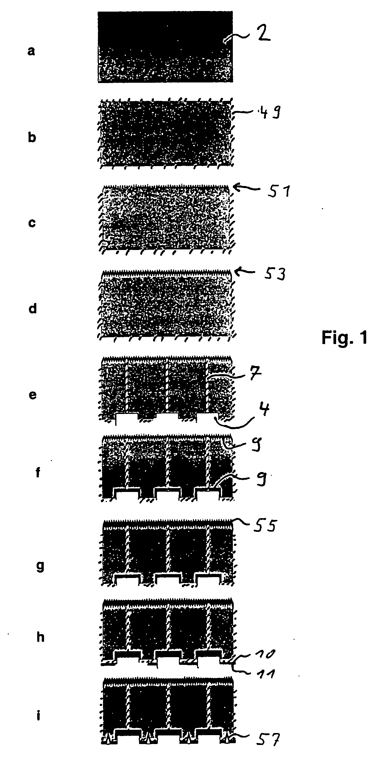 Rear contact solar cell and method for making same