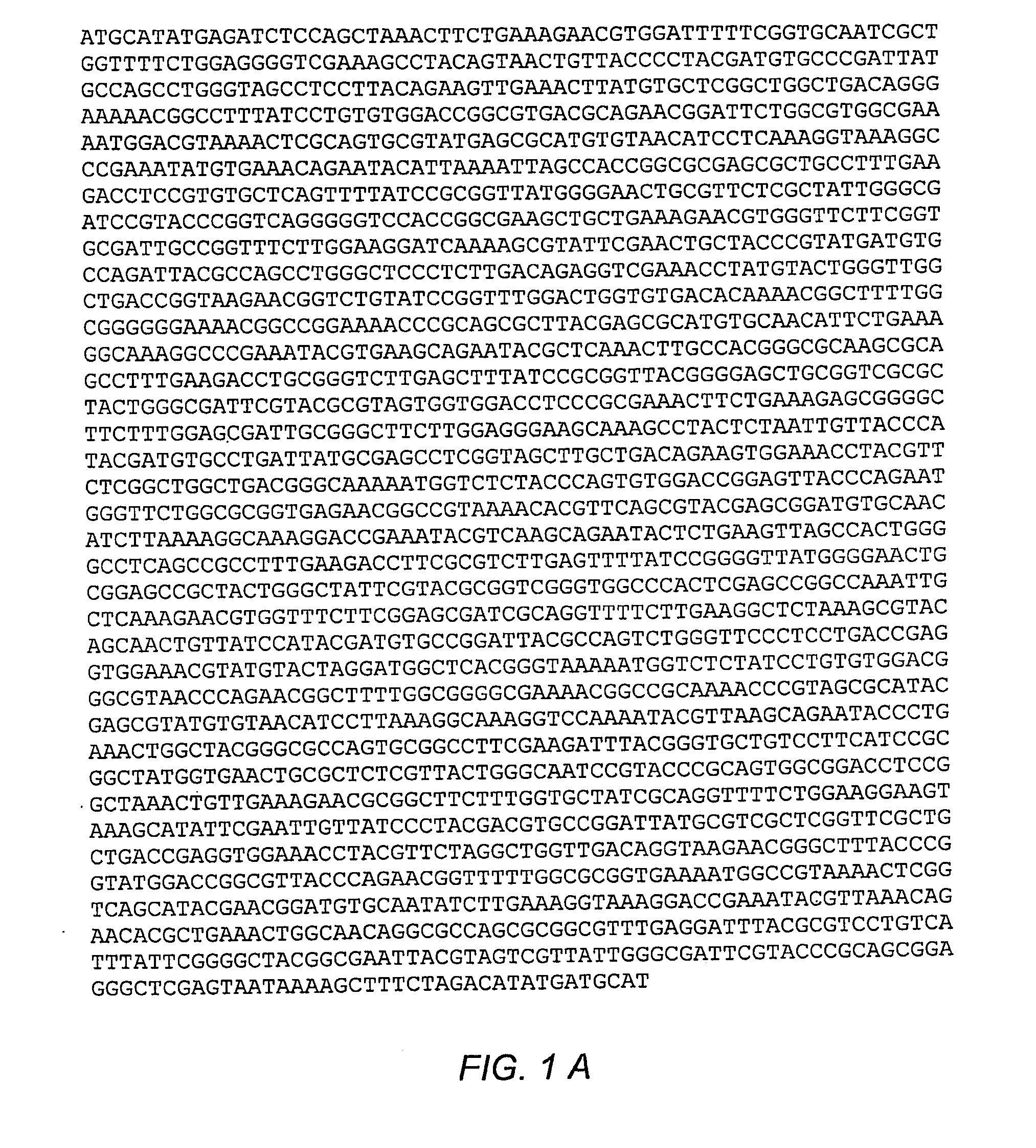 Multimeric multiepitope influenza vaccines