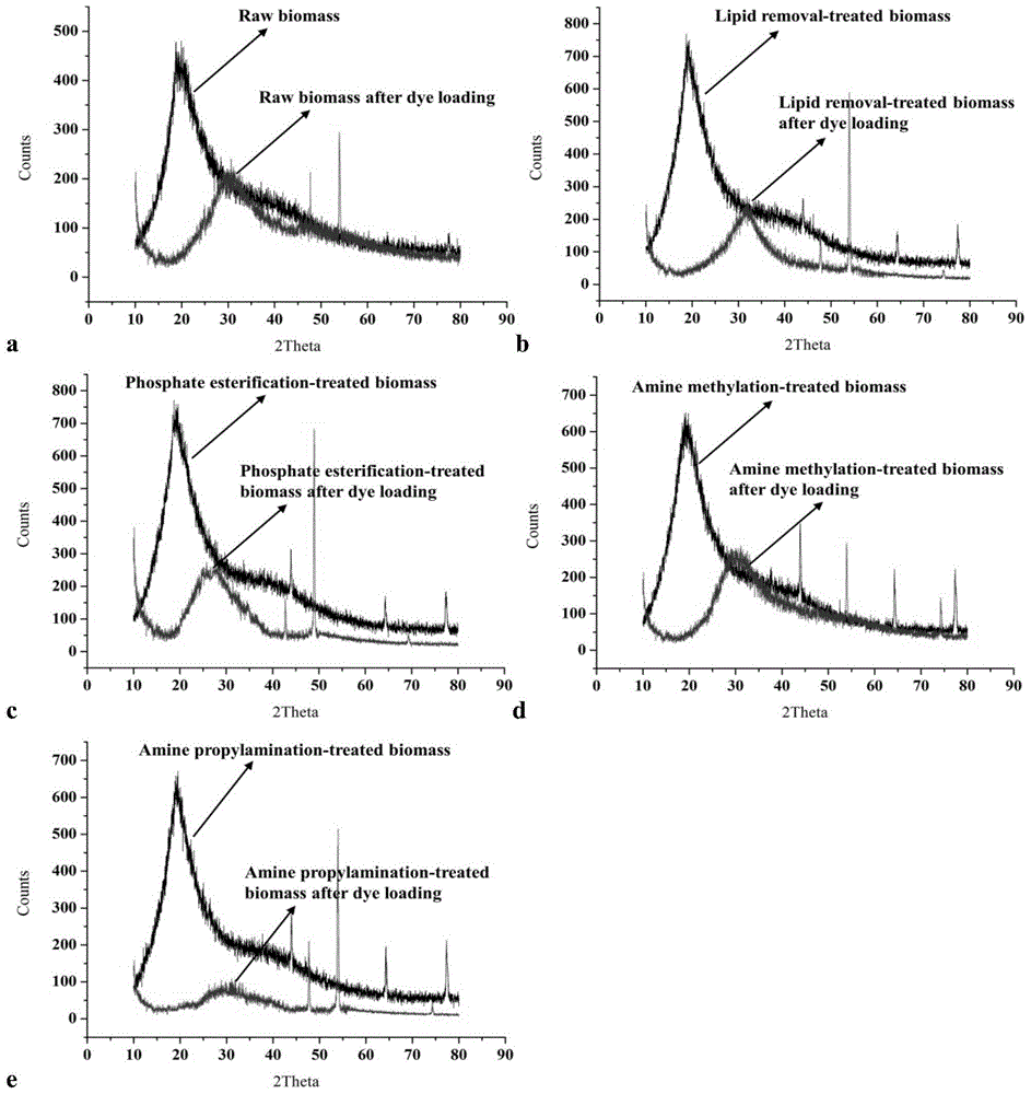 Preparation method and use of white-rot fungus mycelium biological adsorbent
