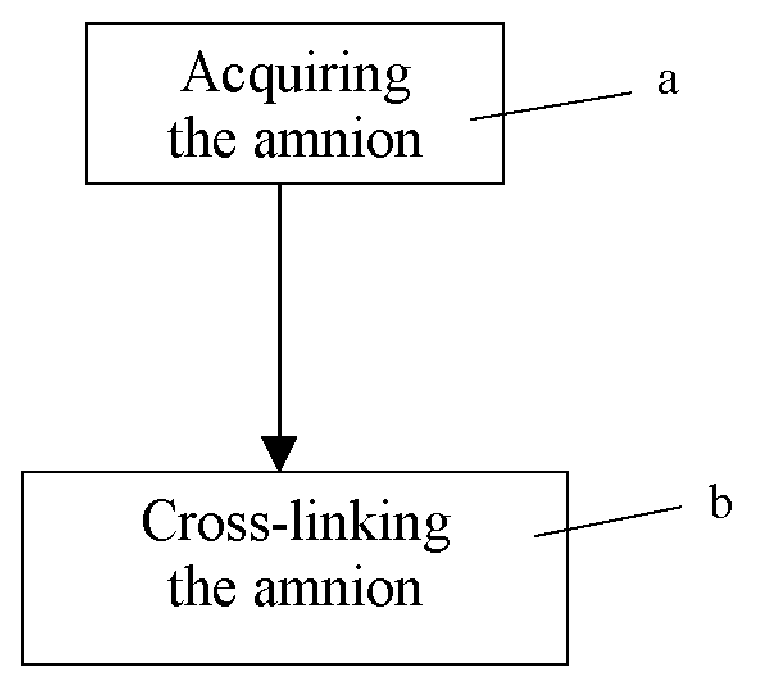 Method of cross-linking amnion to be an improved biomedical material
