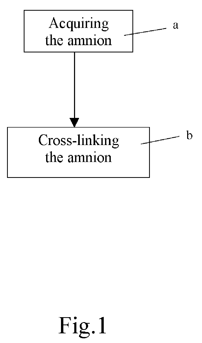 Method of cross-linking amnion to be an improved biomedical material