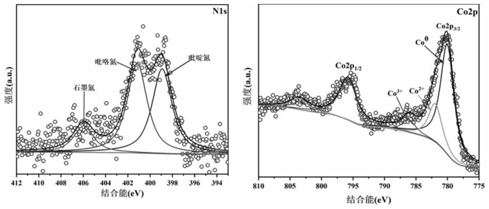 A kind of cobalt nitrogen co-doped fish scale biochar catalyst and its preparation method and application