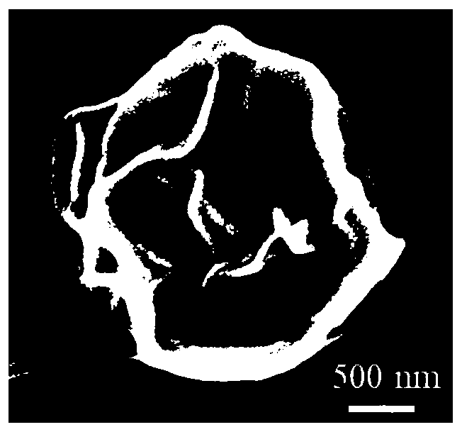 Graphene oxide paper with surface microsphere structure and preparation method thereof