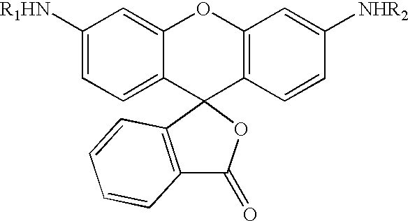 Novel fluorogenic or fluorescent reporter molecules and their applications for whole-cell fluorescence screening assays for caspases and other enzymes and the use thereof