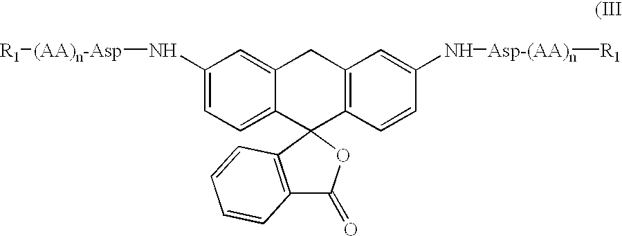 Novel fluorogenic or fluorescent reporter molecules and their applications for whole-cell fluorescence screening assays for caspases and other enzymes and the use thereof