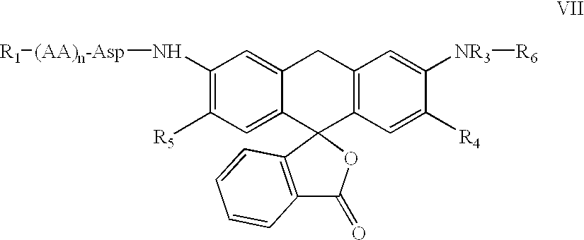 Novel fluorogenic or fluorescent reporter molecules and their applications for whole-cell fluorescence screening assays for caspases and other enzymes and the use thereof