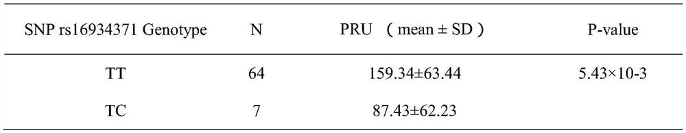 KCNMA1 gene SNP marker usable for assisting in accurate medication of clopidogrel