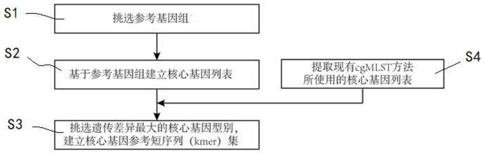 Sample pathogenic bacterium typing method and system