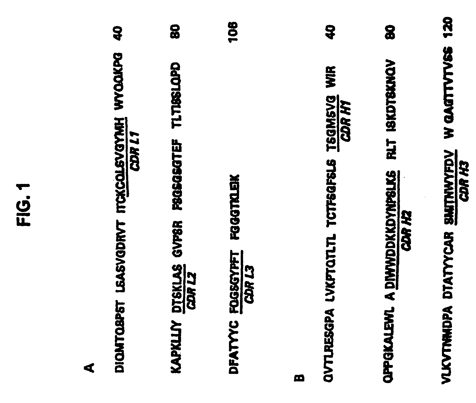 Methods of preventing and treating RSV infections and related conditions