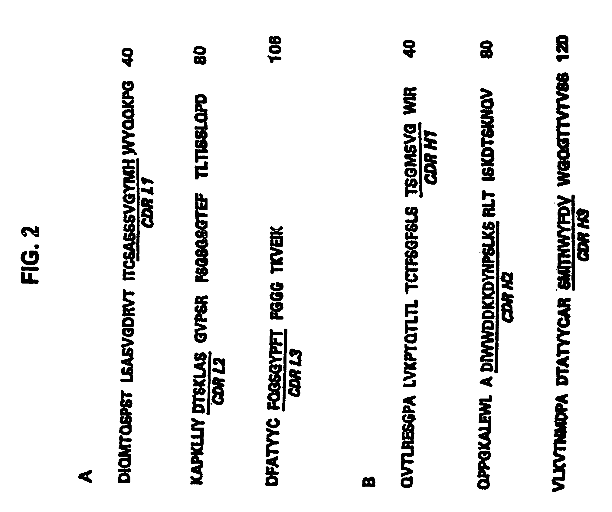 Methods of preventing and treating RSV infections and related conditions