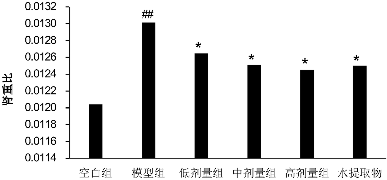 Applications of total cyclopentene iridoid glycoside of Hedyotis diffusa Willd in preparation of acute kidney injury prevention and treatment drugs