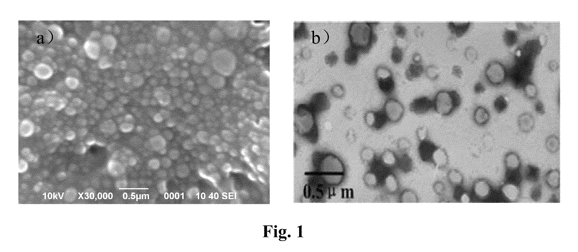 Enteric-coated capsule containing cationic nanoparticles for oral insulin delivery