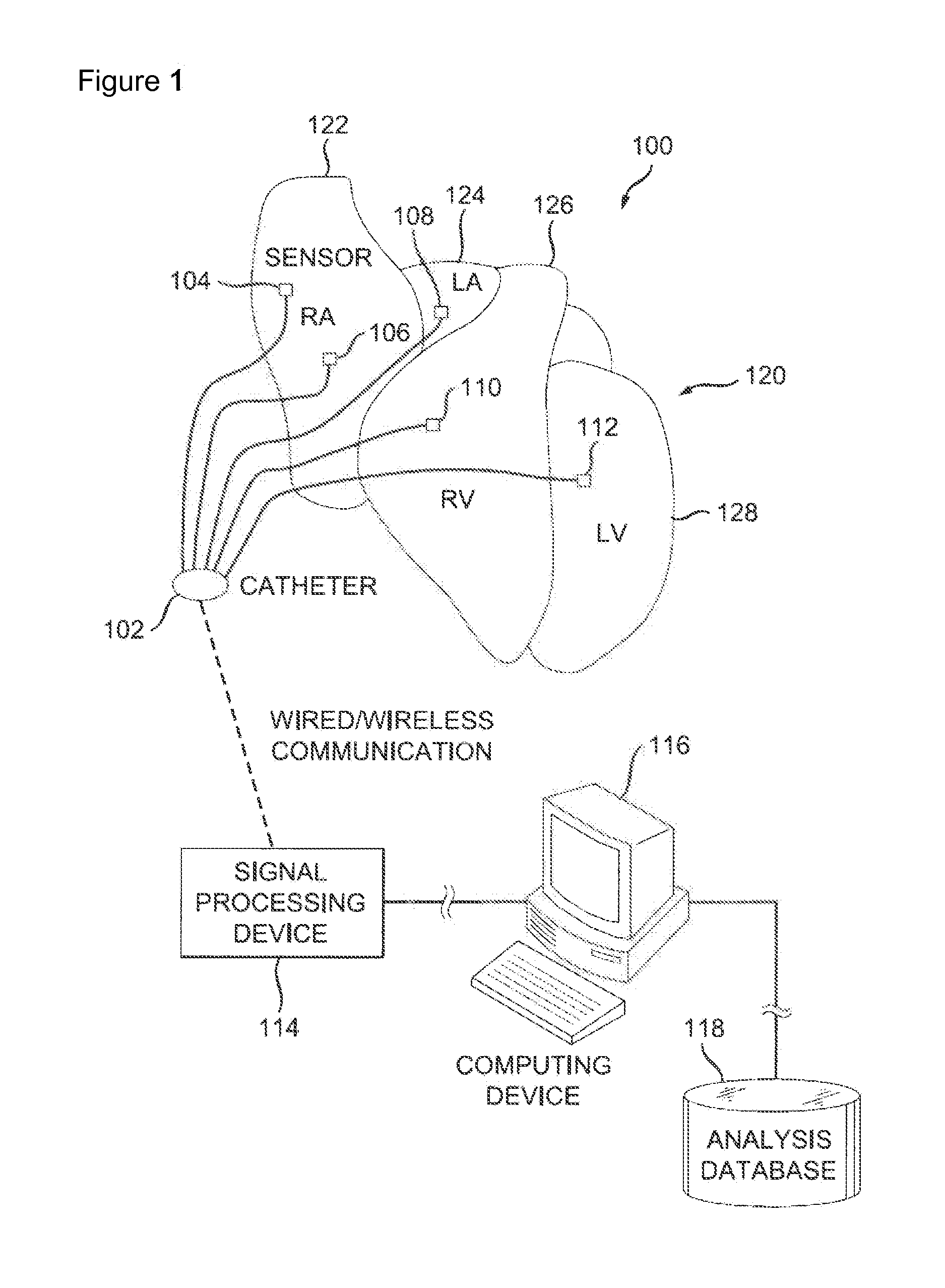 System and method of identifying sources for biological rhythms