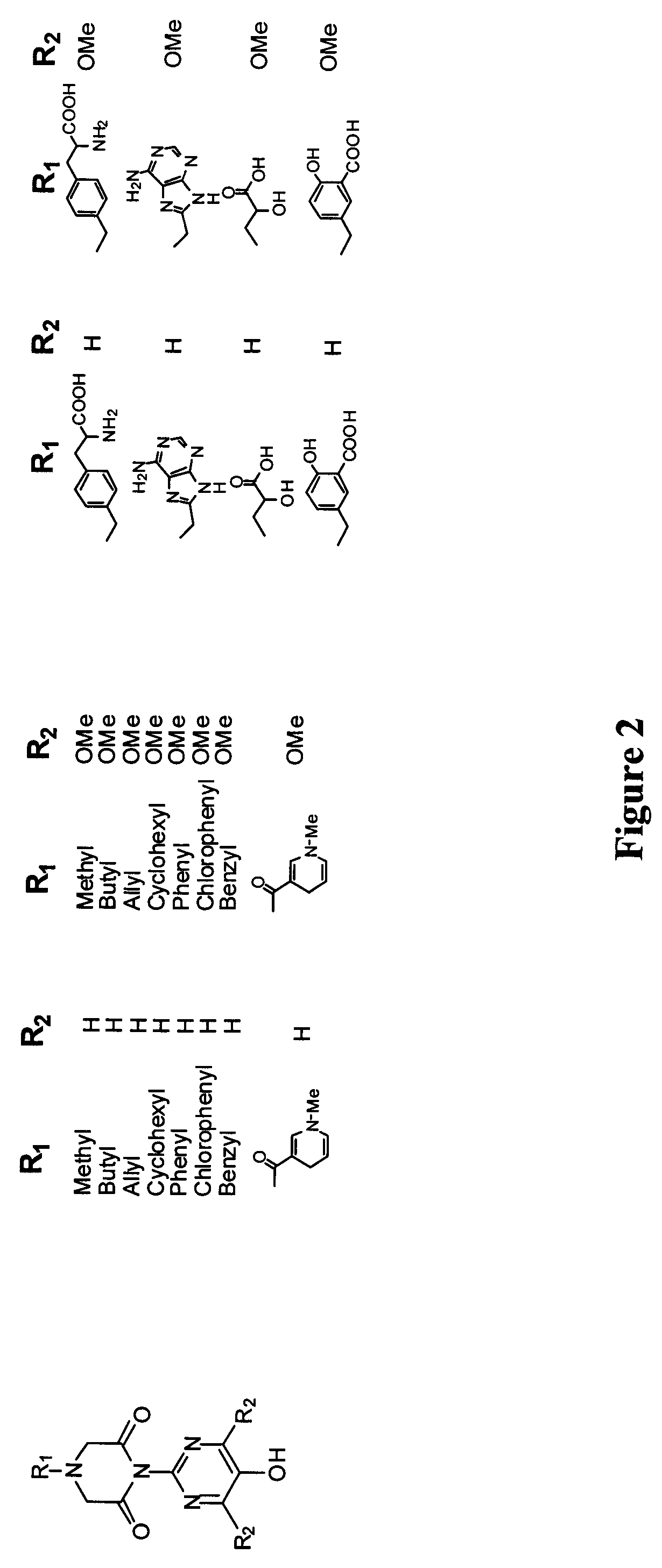 Multifunctional Antioxidants and methods of use thereof