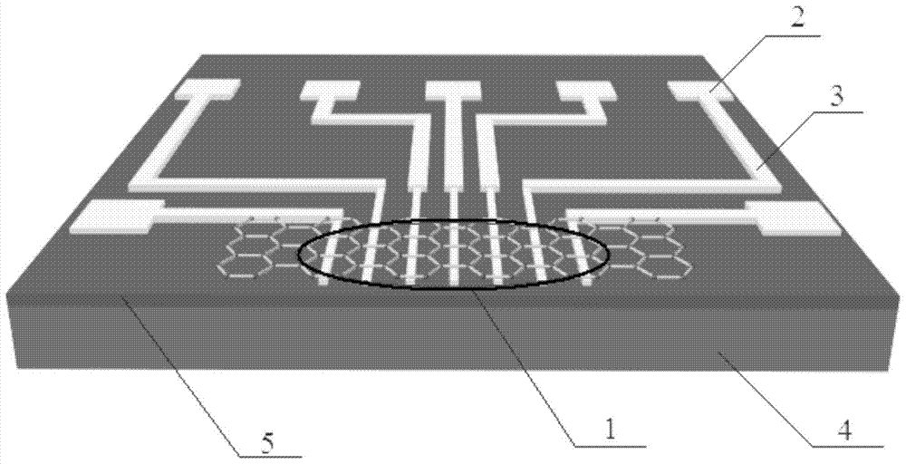 A kind of preparation method of graphene field effect transistor biosensor