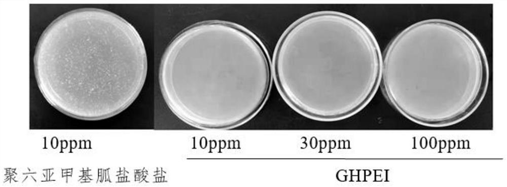 Application of guanidine polymer grafted with polyethyleneimine