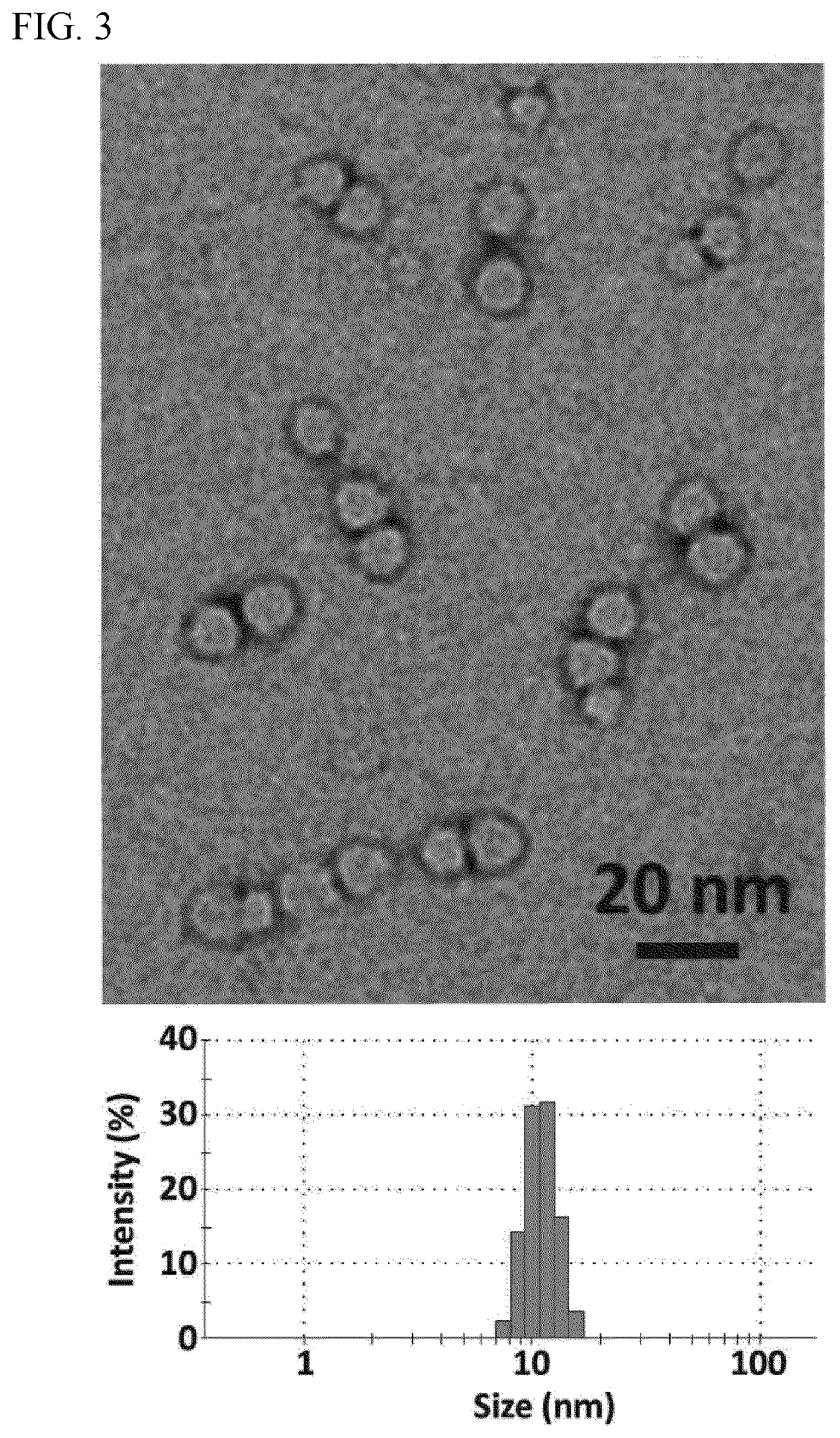 Nanocapsule delivery system for ribonucleoproteins