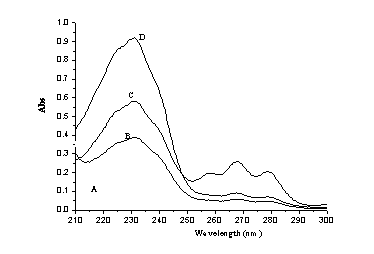 Preparation method for conjugated oil, conjugated oil and application thereof