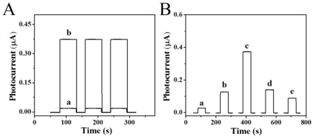 Construction method of photoelectrochemical aptamer sensor for sensitive detection of enrofloxacin