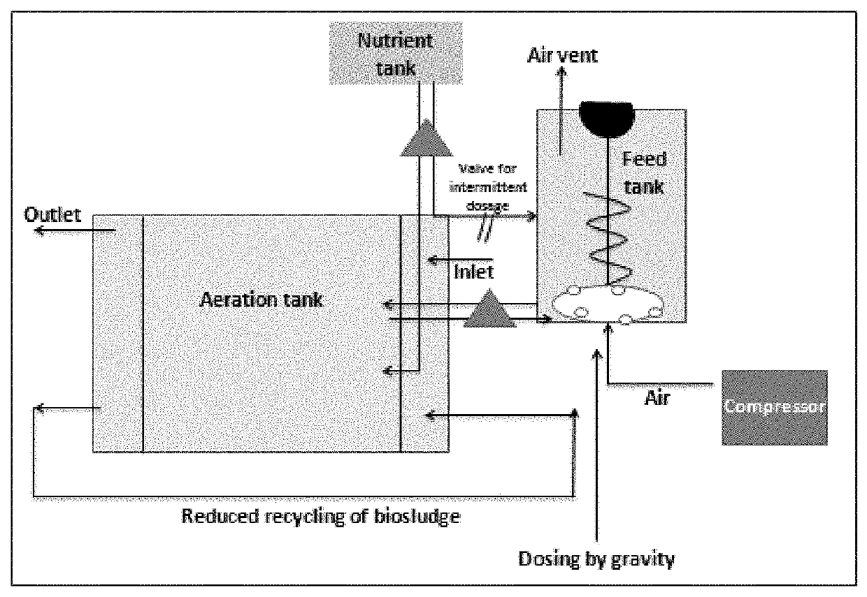 Process for bio-sludge reduction in hydrocarbon refinery effluent treatment plant through microbial interventions