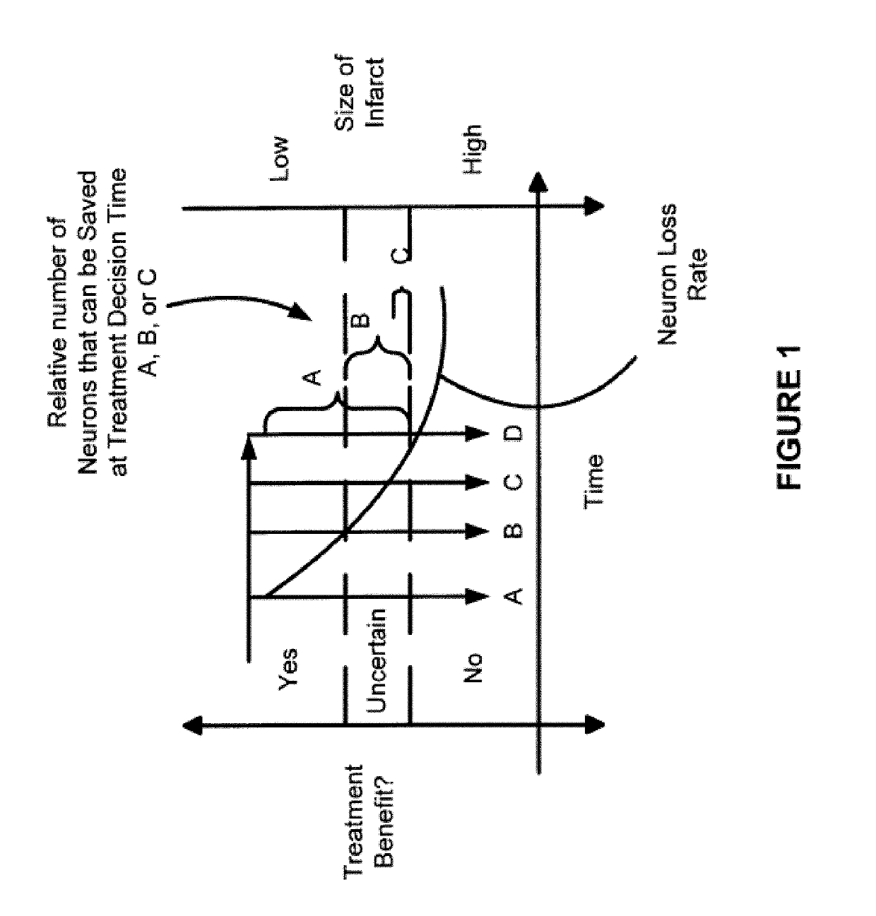 Systems And Methods For Deciding Management Strategy in Acute Ischemic Strokes Using Rotational Angiography