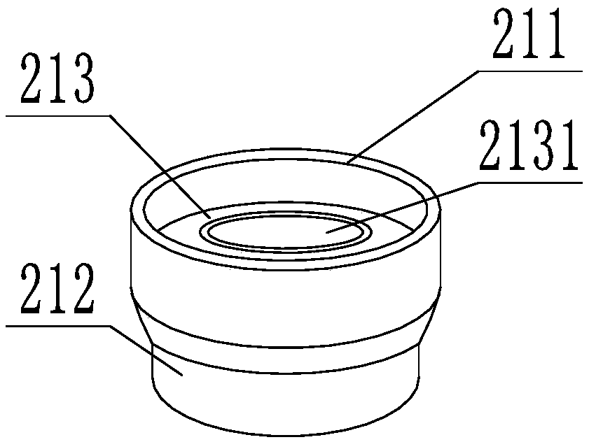 A portable near-infrared spectroscopy detection system