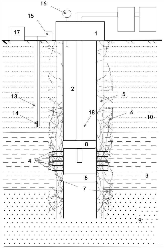 Method for blocking leakage along abandoned well in geological storage process of carbon dioxide