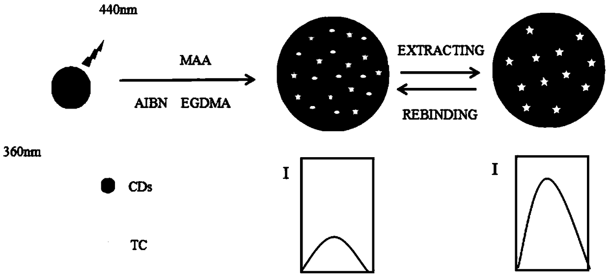 Preparation method of tetracycline carbon dot fluorescent molecular imprinting material