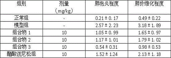 Traditional Chinese medicine composition and preparation method, application and preparation thereof