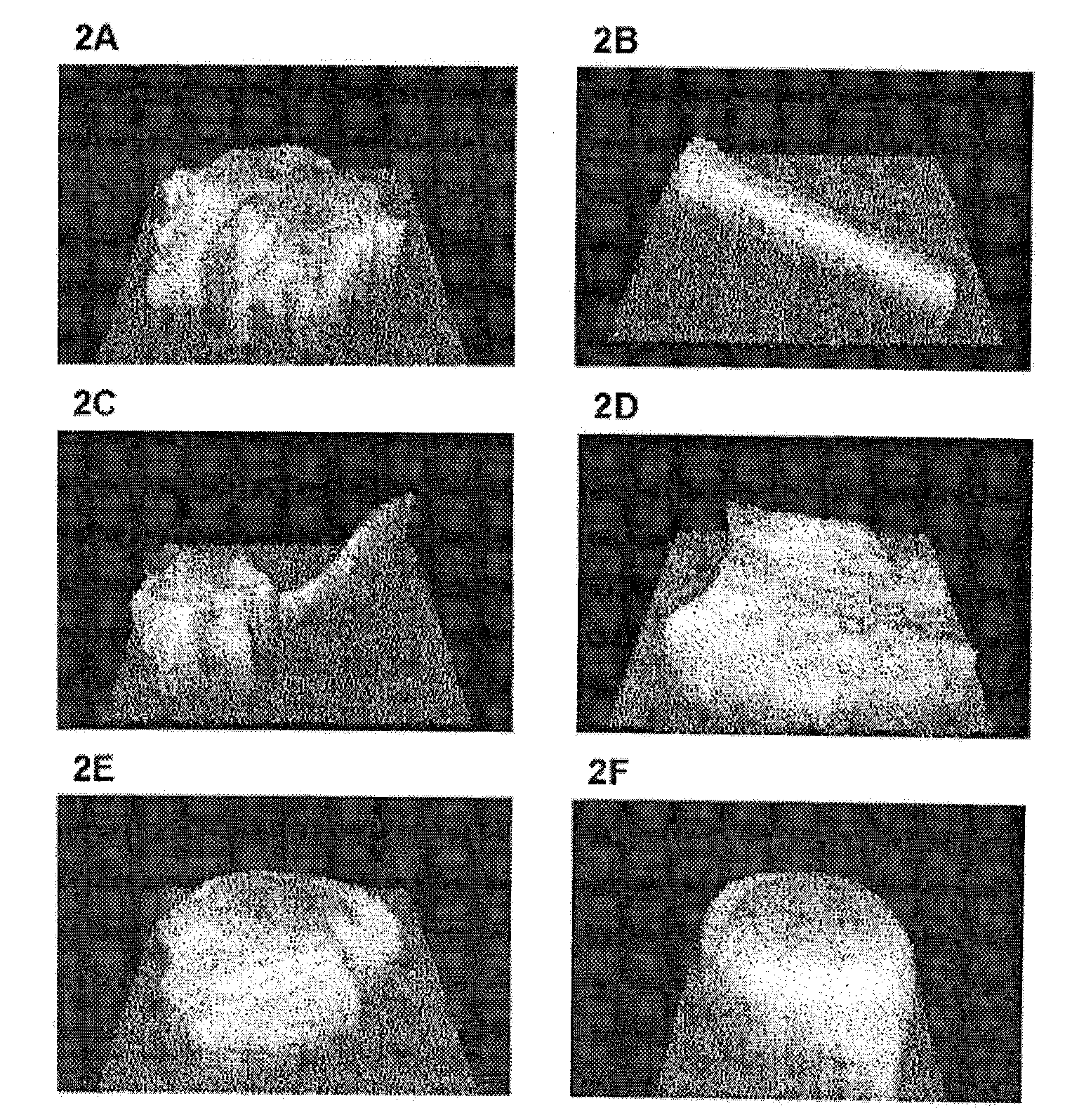 Method for classifying objects contained in seed lots and corresponding use for producing seed