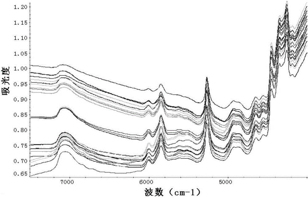 Method for rapidly predicting ultimate stage of packing single-base propellant