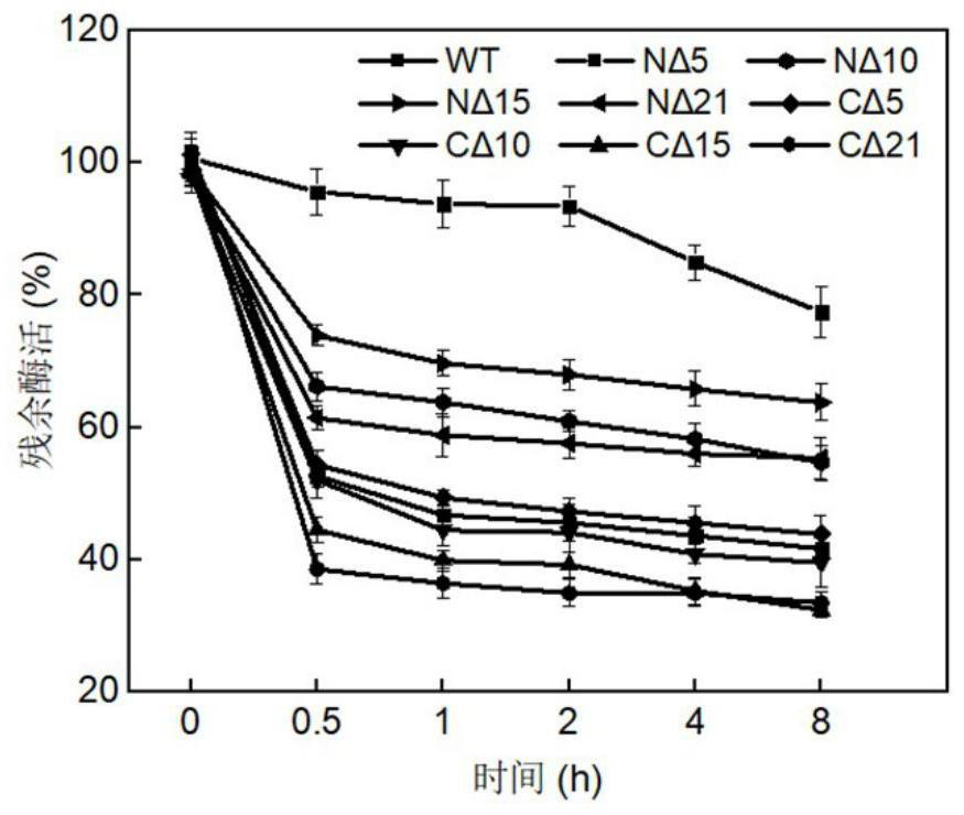 Chondroitin sulfate ABC lyase mutant with high thermal stability and application thereof