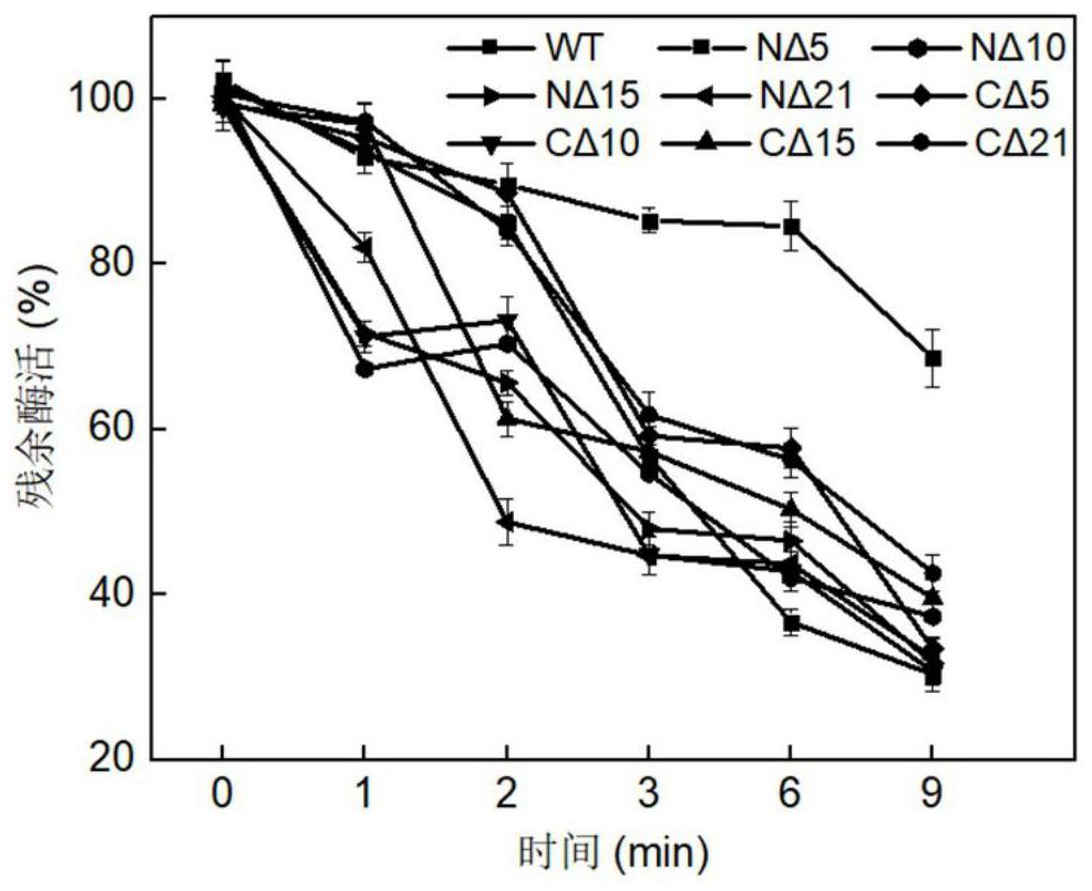 Chondroitin sulfate ABC lyase mutant with high thermal stability and application thereof