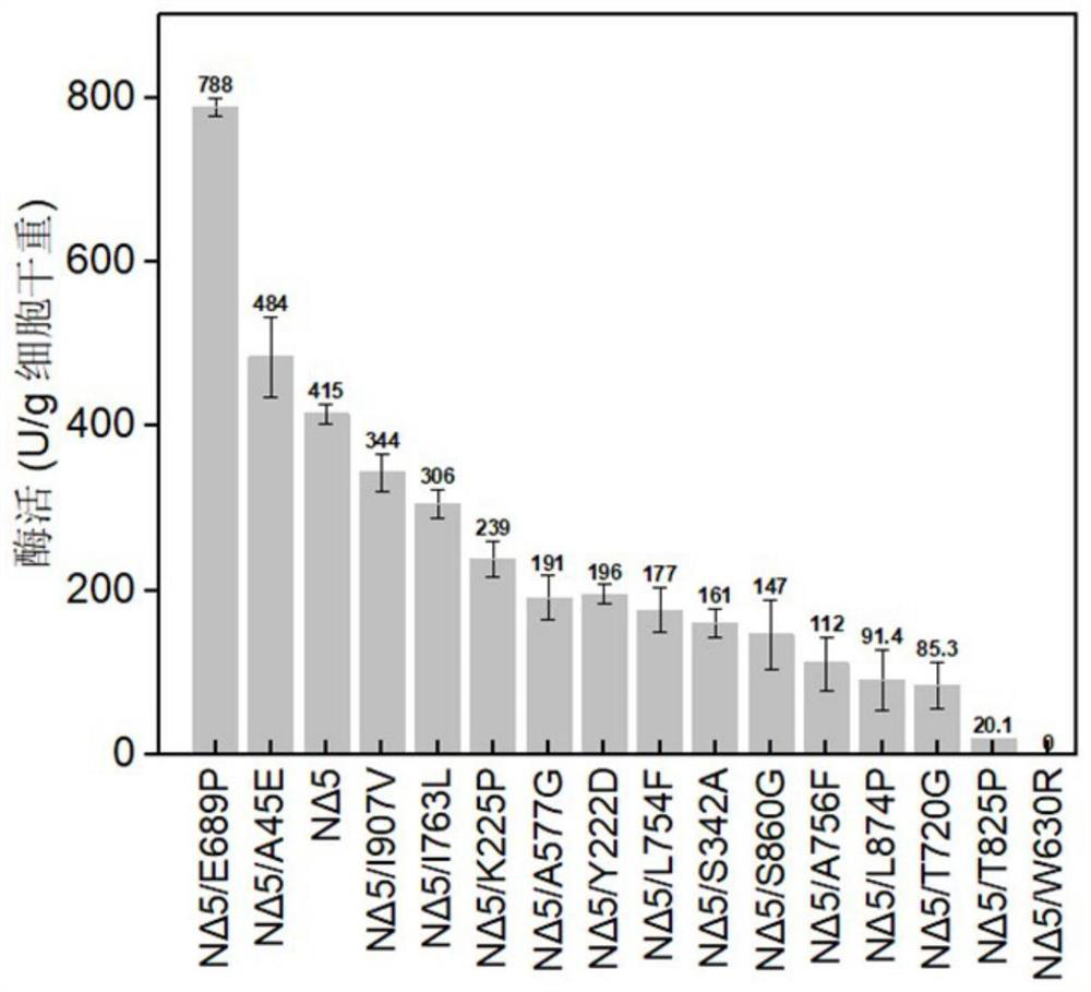 Chondroitin sulfate ABC lyase mutant with high thermal stability and application thereof