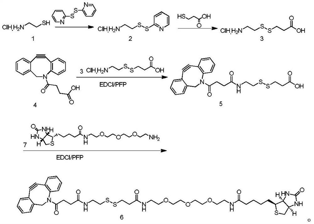 Compound Biotin-PEG3-SS-DBCO as well as preparation method and application thereof