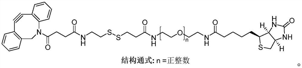 Compound Biotin-PEG3-SS-DBCO as well as preparation method and application thereof