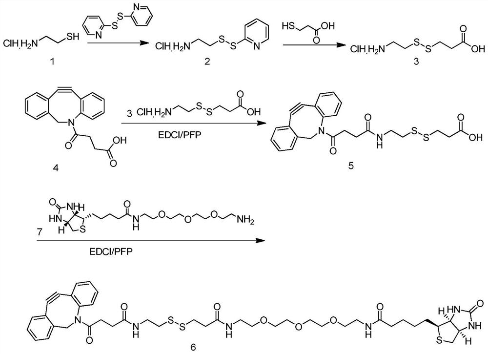 Compound Biotin-PEG3-SS-DBCO as well as preparation method and application thereof