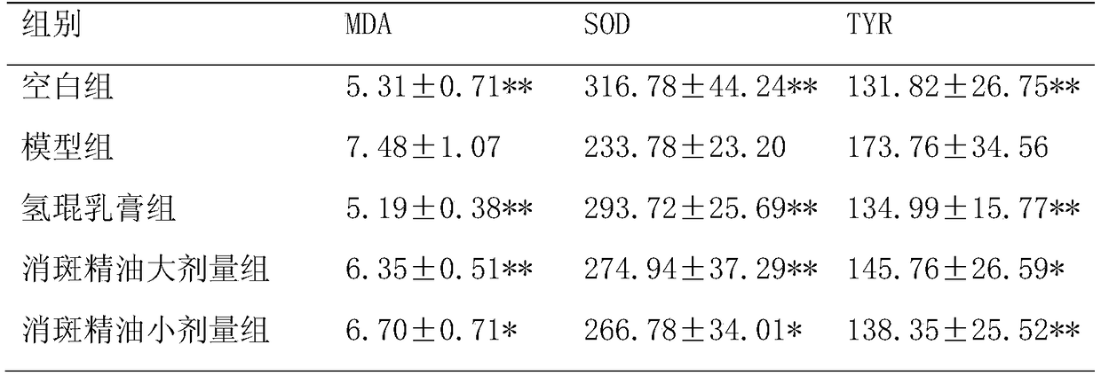 Chloasma eliminating essential oil for treating chloasma