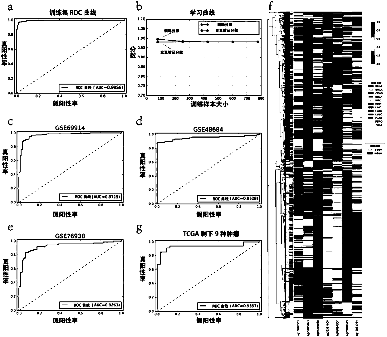 Methylation marker and application thereof in diagnosis and classification of tumors