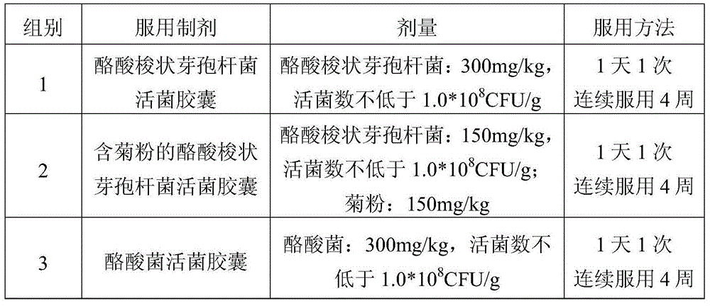Edible composition as well as preparation method and application thereof