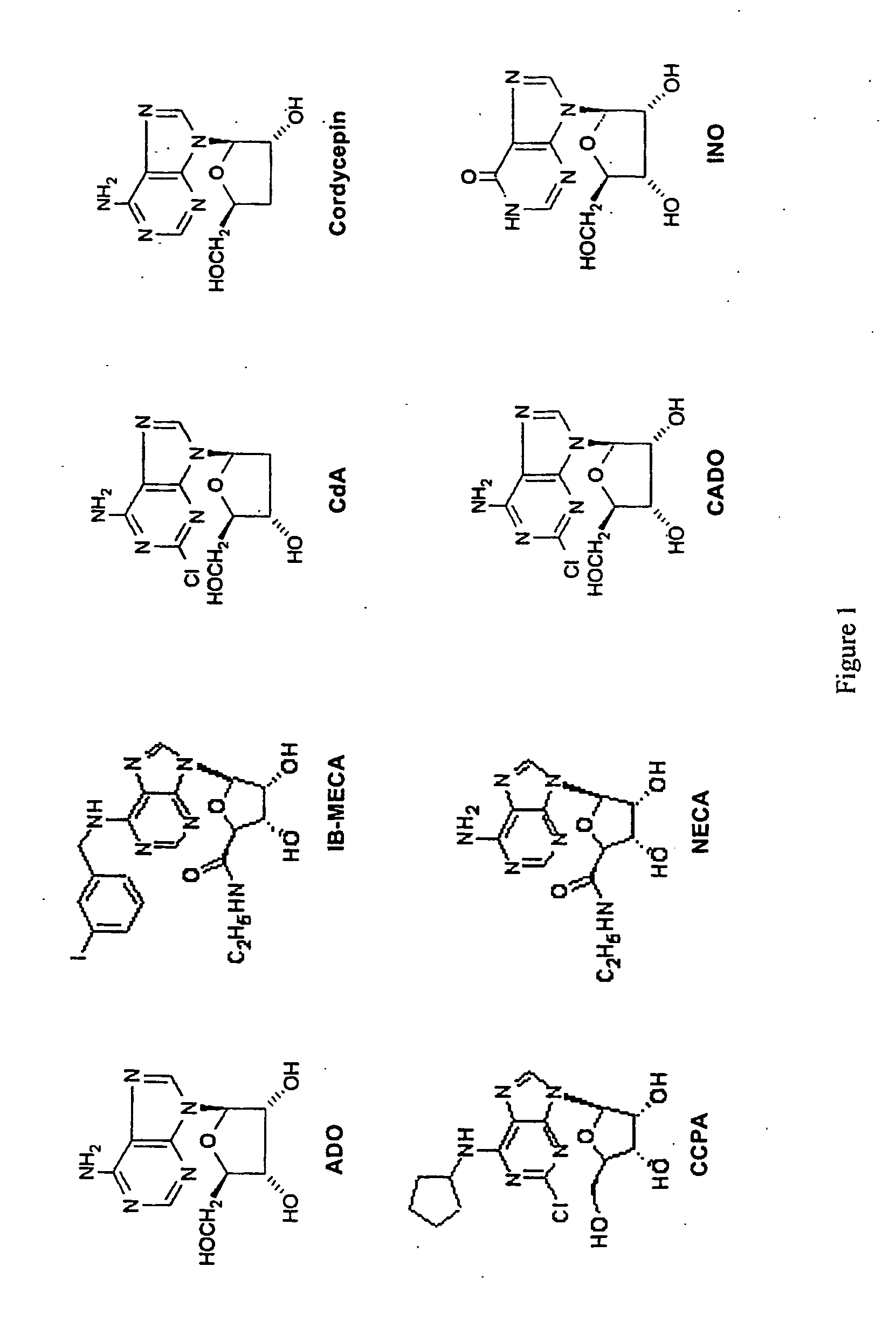 Method of treating cancer using adenosine and its analogs