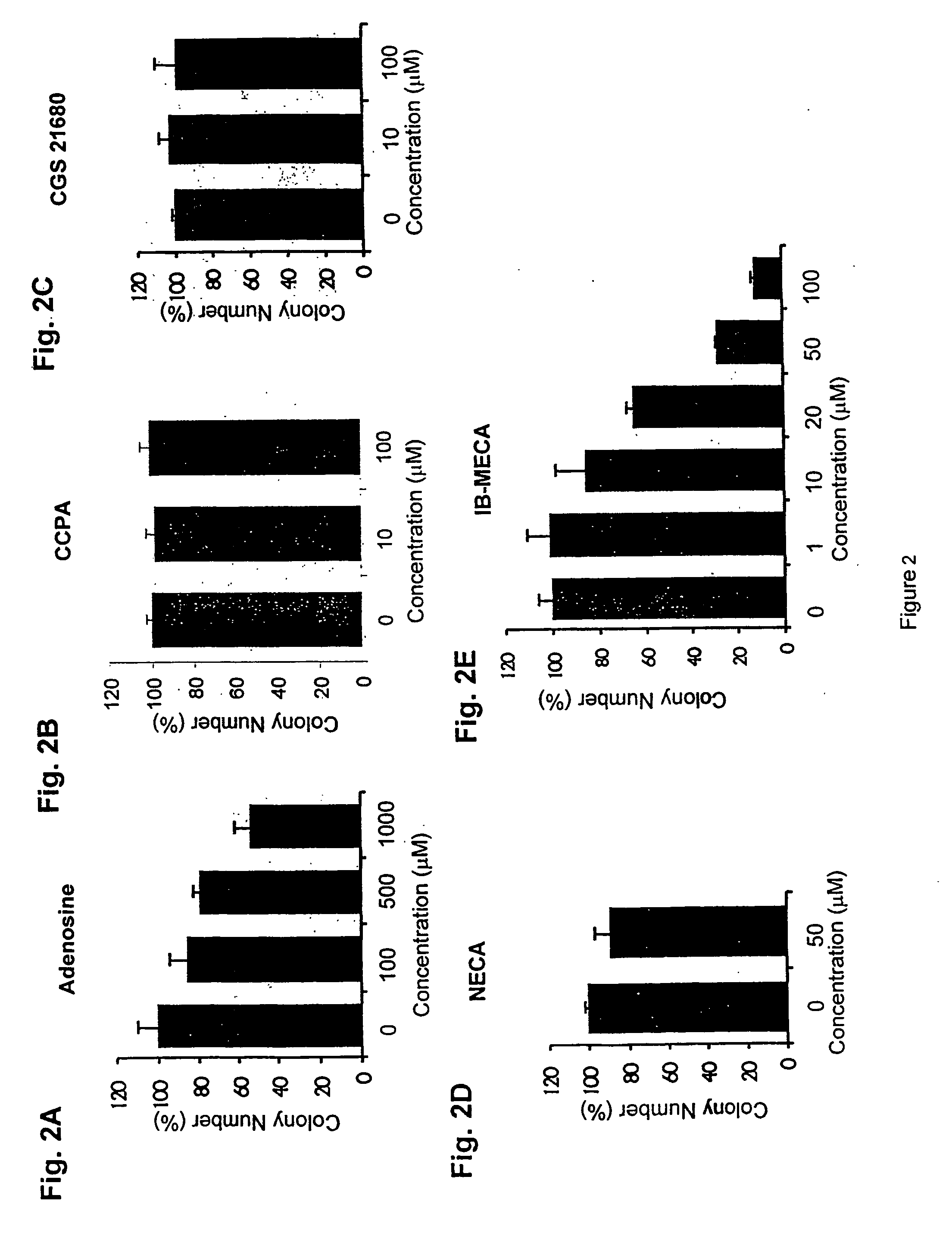 Method of treating cancer using adenosine and its analogs