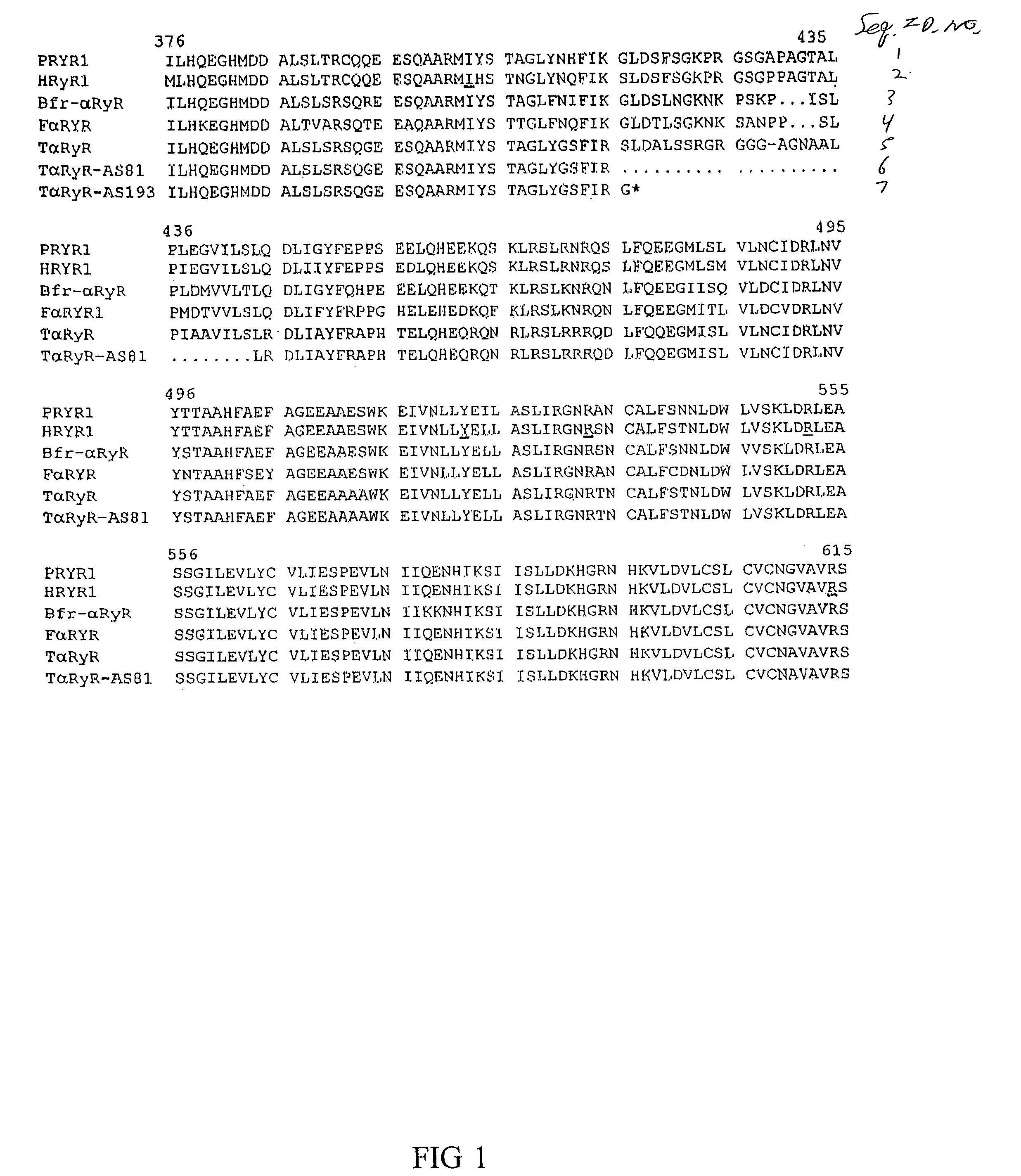 Genetic test for PSE-susceptible turkeys